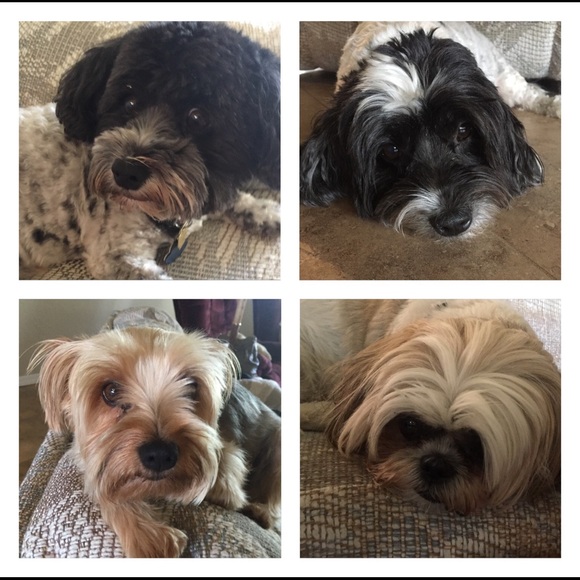 Meet your Posher, Natalie - Picture 1 of 1